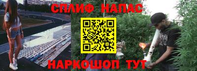 mdpv Новозыбков