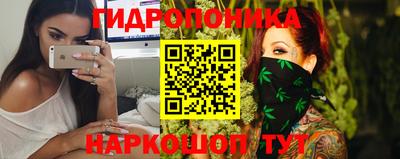 spice Новодвинск