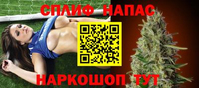 spice Новодвинск