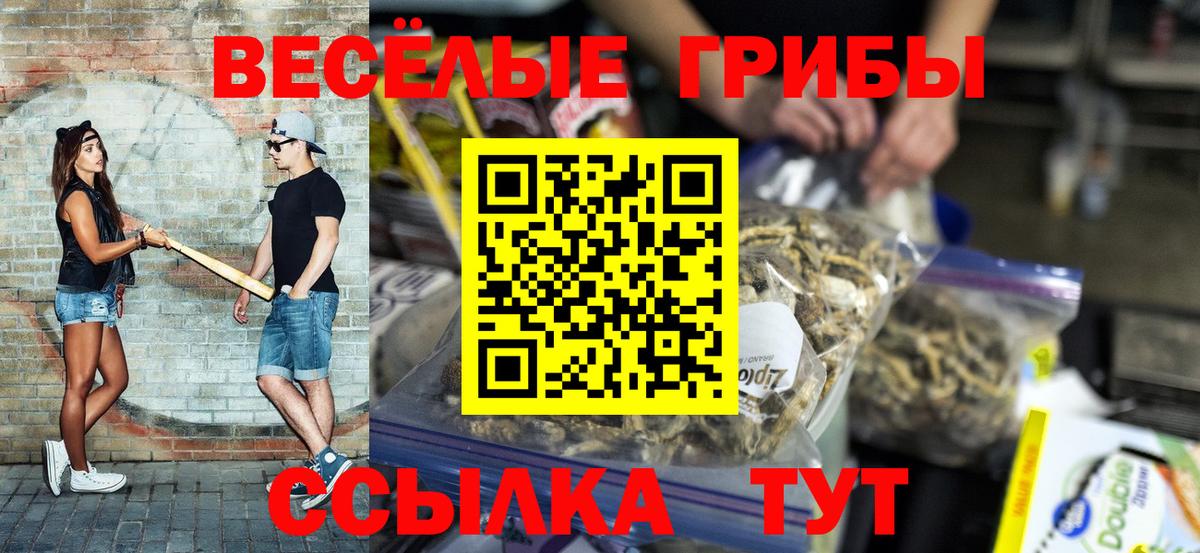Галлюциногенные грибы GOLDEN TEACHER Рыбинск